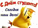 «День студента»