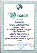 «I Международный конкурс научных работ»
