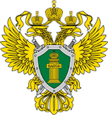 ДВФ ВАВТ - 