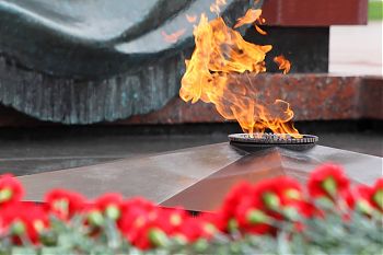 ДВФ ВАВТ - «Моя профессия – моя история»