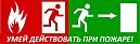 «Тренировка по экстренной эвакуации и действиям при ЧС»